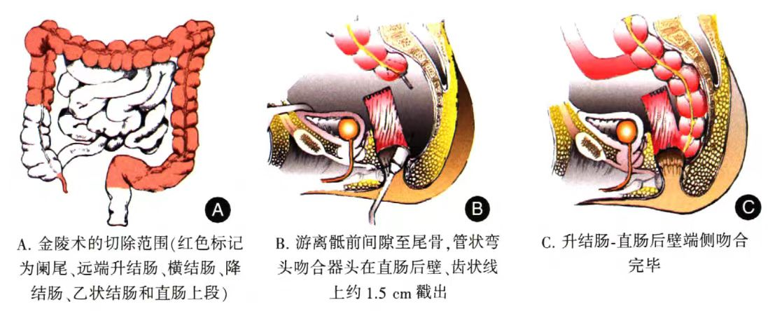 17192808658130.png 17192808658130.png