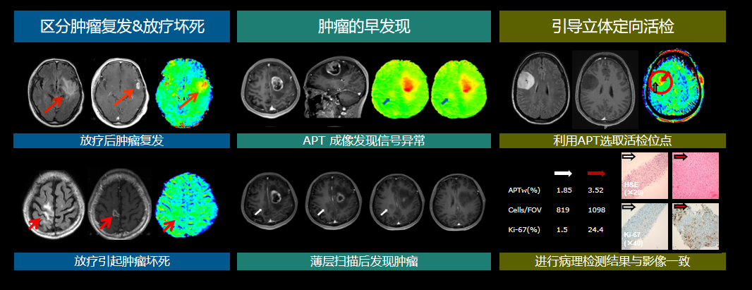 17217015666500.png 17217015666500.png