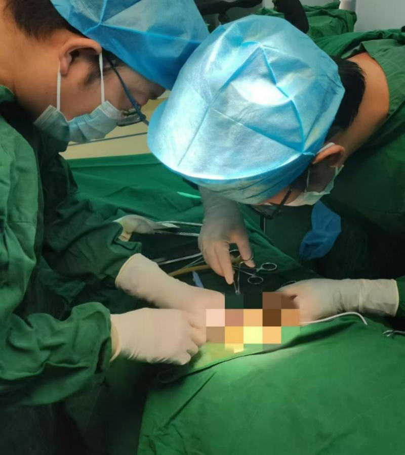 17350325817218.png 17350325817218.png